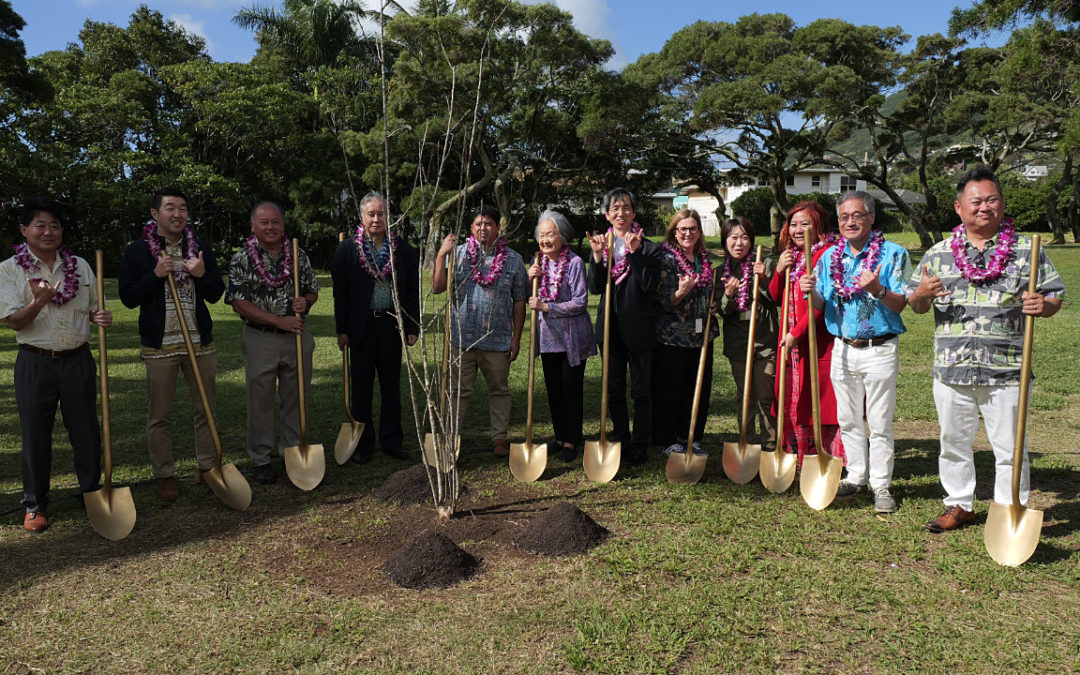 Tree planting ceremonies with Makino Botanical Garden, Feb 6-7, 2024